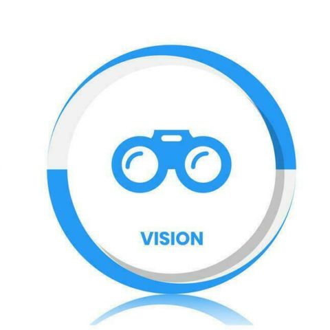 vision